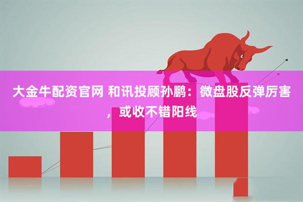 大金牛配资官网 和讯投顾孙鹏：微盘股反弹厉害，或收不错阳线