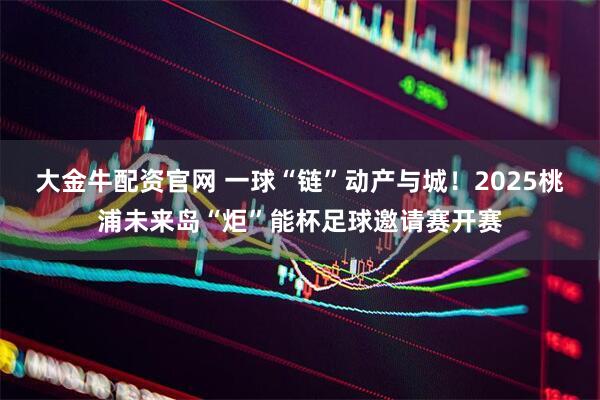 大金牛配资官网 一球“链”动产与城！2025桃浦未来岛“炬”能杯足球邀请赛开赛