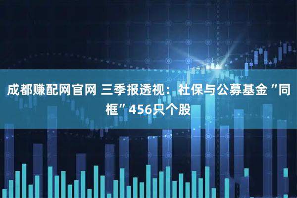 成都赚配网官网 三季报透视：社保与公募基金“同框”456只个股