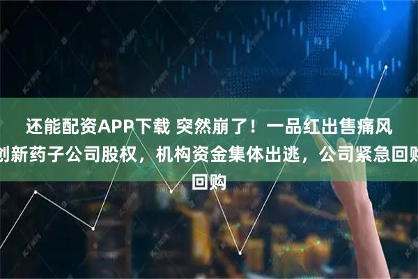 还能配资APP下载 突然崩了！一品红出售痛风创新药子公司股权，机构资金集体出逃，公司紧急回购