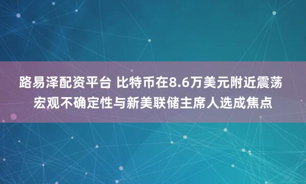 路易泽配资平台 比特币在8.6万美元附近震荡 宏观不确定性与新美联储主席人选成焦点