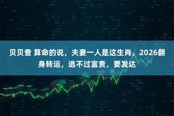 贝贝查 算命的说，夫妻一人是这生肖，2026翻身转运，逃不过富贵，要发达