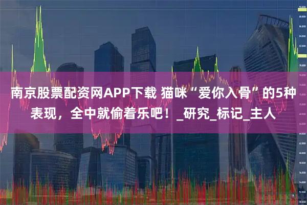 南京股票配资网APP下载 猫咪“爱你入骨”的5种表现，全中就偷着乐吧！_研究_标记_主人
